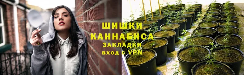 МЕГА tor  Бахчисарай  Марихуана Ganja  купить закладку 